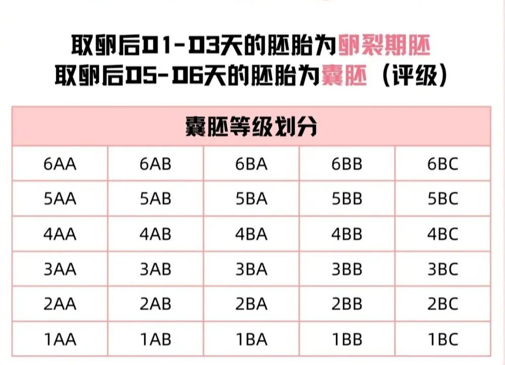 老挝磨丁TT生殖中心做试管婴儿的全部流程